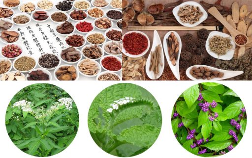 Đông dược là gì