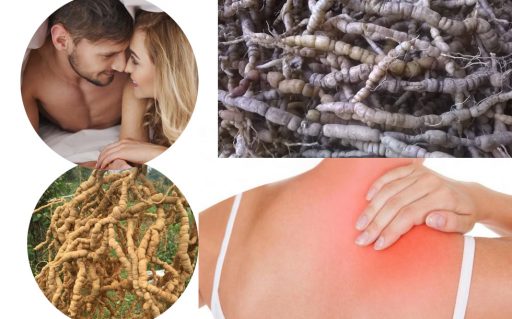 Công dụng củ ba kích