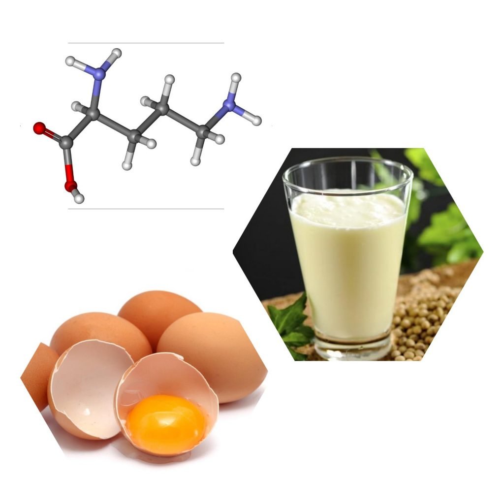 Những thực phẩm chứa L-Ornithin