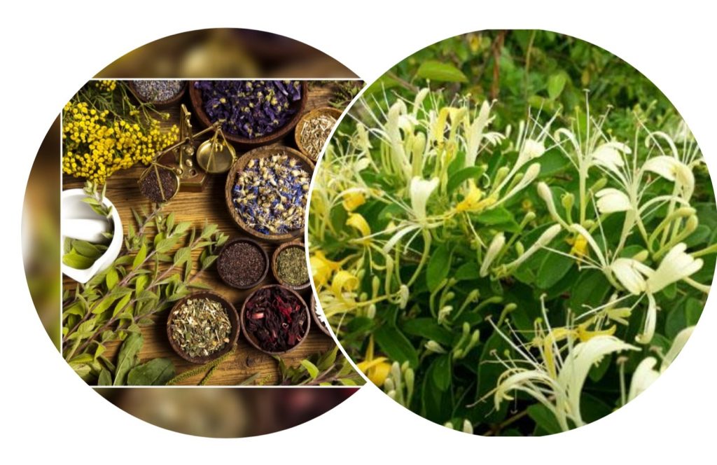 Gia công thuốc đông y là gì?