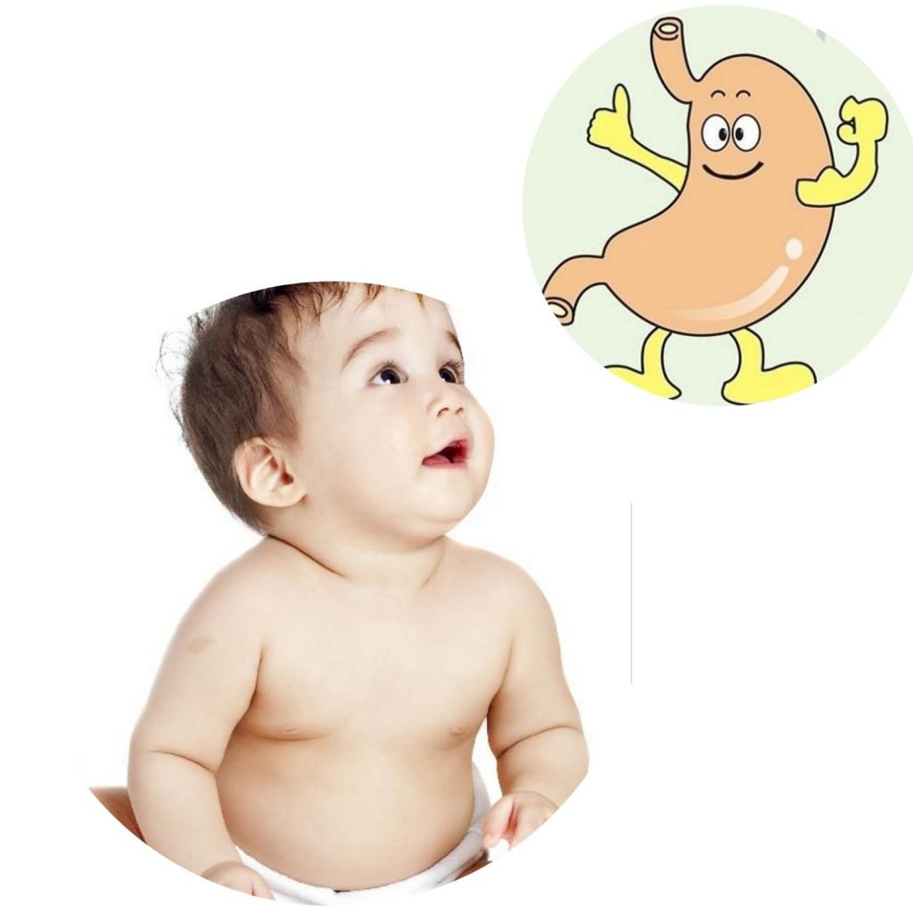Lactose hỗ trợ hệ tiêu hóa của trẻ
