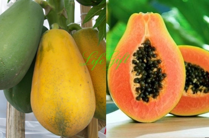 Thực phẩm hỗ trợ trắng da thiên nhiên