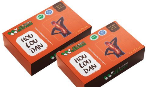viên uống hỗ trợ xương khớp HOU LOU DAN