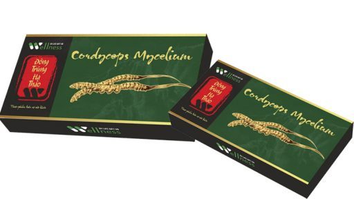 Đông trùng hạ thảo Cordyceps Mycelium