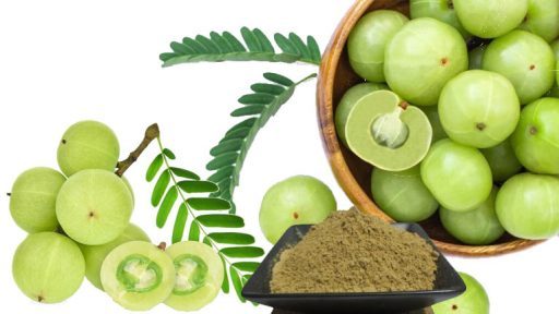 Quả me rừng có tác dụng gì?