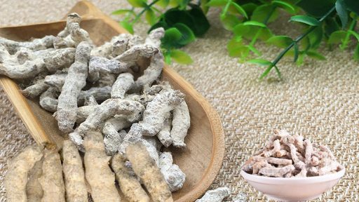 Bạch cương tàm có tác dụng gì?