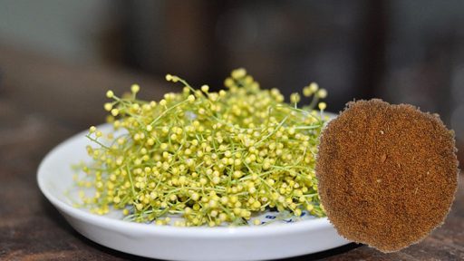 Hoa ngâu có tác dụng gì?