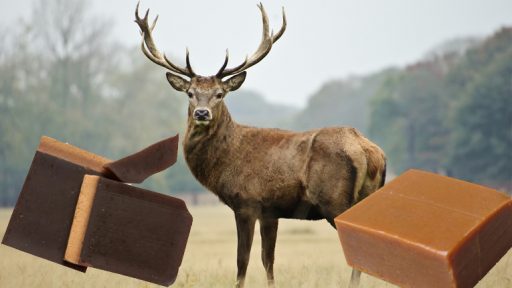 Cao ban long có tác dụng gì?