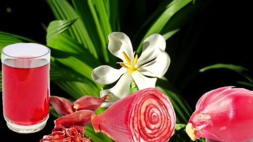 Sâm đại hành có tác dụng gì?